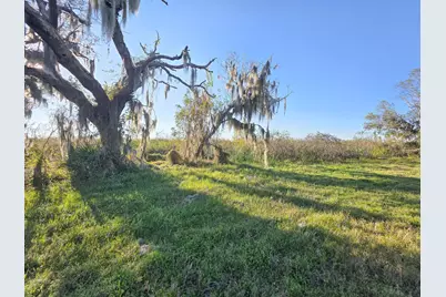 220 Pony Trail, Angleton, TX 77515 - Photo 3