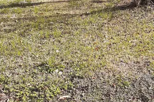 7031 Foster St, Houston, TX 77021 - Photo 5