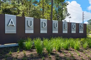 16847 Deep Wingbeat Way, Magnolia, TX 77354 - Photo 13