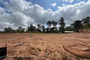 16847 Deep Wingbeat Way, Magnolia, TX 77354 - Photo 11