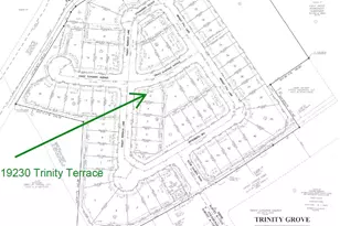 19230 Trinity Ter Ln, Spring, TX 77379 - Photo 13