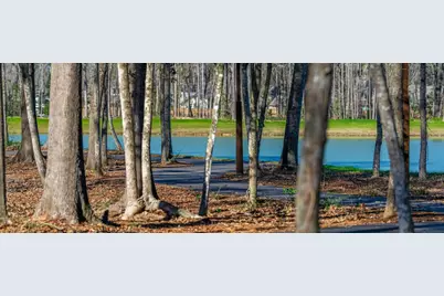 9628 Mount Brewer Lane, Porter, TX 77365 - Photo 23