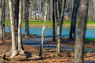 9628 Mount Brewer Ln, Porter, TX 77365 - Photo 23