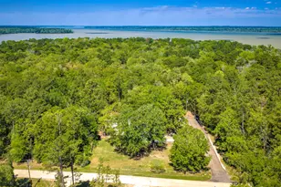 21 Red Oak Cir, Point Blank, TX 77364 - Photo 47