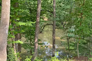 20 Lower Cove Dr, Point Blank, TX 77364 - Photo 1