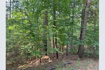 20 Lower Cove Drive, Point Blank, TX 77364 - Photo 7