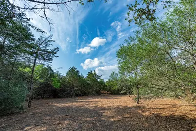 468 (Lot 16) Vineyard View Trail, Carmine, TX 78932 - Photo 19