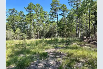 151 Ashbrook Lane, Brookeland, TX 75931 - Photo 9