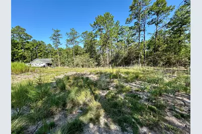 151 Ashbrook Lane, Brookeland, TX 75931 - Photo 7