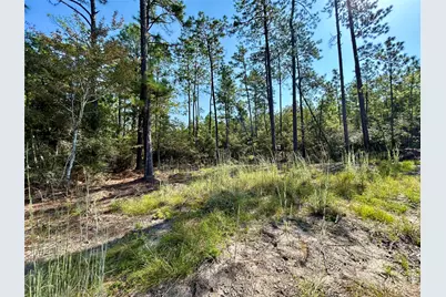 151 Ashbrook Lane, Brookeland, TX 75931 - Photo 3