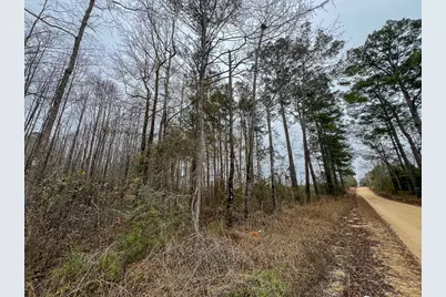 1 Fm 2626, Newton, TX 75966 - Photo 3