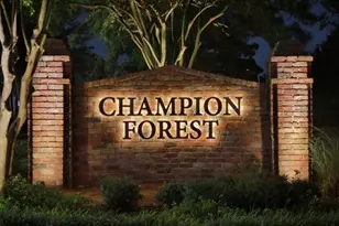 8111 Morningbrook Ct, Spring, TX 77379 - Photo 45