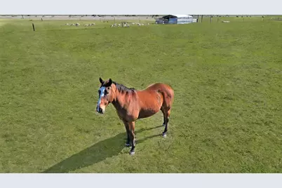 9309 Cr 264 Road, East Bernard, TX 77435 - Photo 15