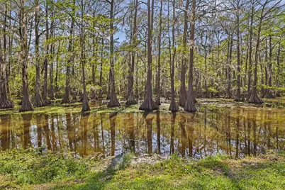 218 Waterfall Drive, Huffman, TX 77336 - Photo 27