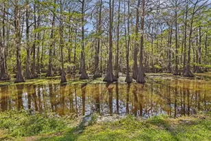 218 Waterfall Dr, Huffman, TX 77336 - Photo 27