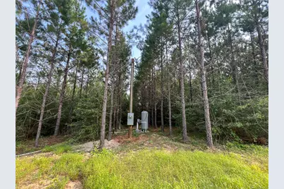 1 Cody Road, Livingston, TX 77351 - Photo 7