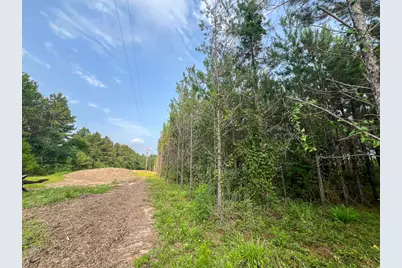 1 Cody Road, Livingston, TX 77351 - Photo 5
