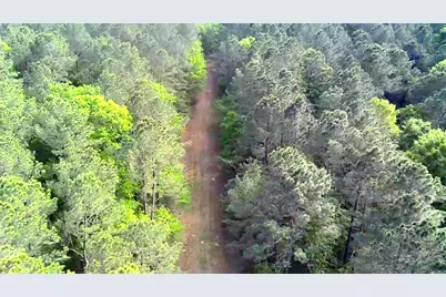 Tbd Parcel # 96677 Hwy 190, Point Blank, TX 77364 - Photo 1