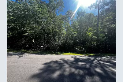 70 Wentworth Lane, Coldspring, TX 77331 - Photo 3