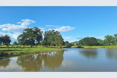 18954 Sweed Road, Washington, TX 77880 - Photo 5