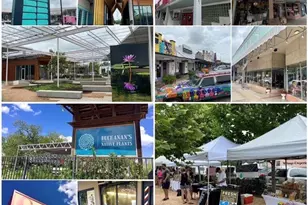 903 E 25th St, Houston, TX 77009 - Photo 49