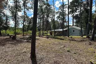 24254 Jane Ave, Porter, TX 77365 - Photo 25