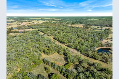 66.00 (+/-) Acres Vz County Road 2145, Canton, TX 75103 - Photo 7