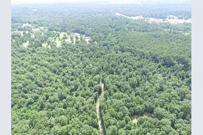 Tbd Marston Road, Livingston, TX 77351 - Photo 7