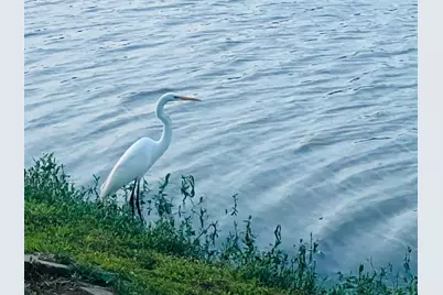 4114 Fisher Lake Drive, Richmond, TX 77406 - Photo 49