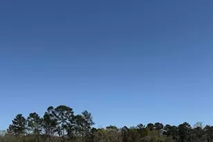 32110 Pond Pine Ct, Conroe, TX 77385 - Photo 7