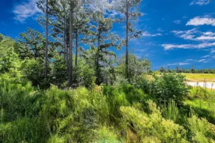 7138 Clearwater Cv Dr, Cypress, TX 77433 - Photo 37