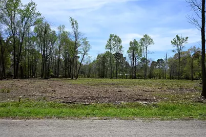 Lot 5 County Road 2360, Hardin, TX 77575 - Photo 1