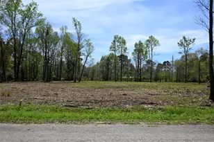 Lot 5 County Road 2360, Hardin, TX 77575 - Photo 1