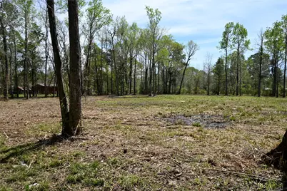 Lot 5 County Road 2360, Hardin, TX 77575 - Photo 3