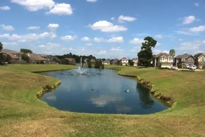 10827 Windfern Lakes Street, Houston, TX 77064 - Photo 19