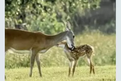 000 Turning Bayou Trail, Angleton, TX 77515 - Photo 5