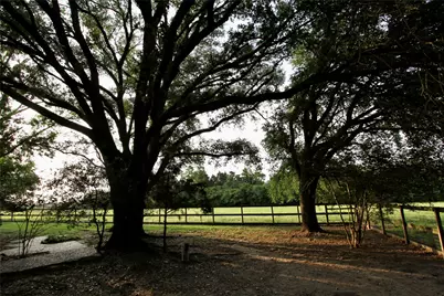 20510 Kickapoo Road, Waller, TX 77484 - Photo 23