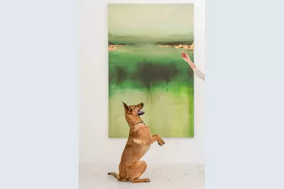 625 Piney Point Road, Houston, TX 77024 - Photo 7