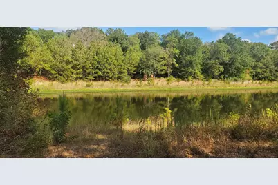 29044 Red Fox Drive, Hempstead, TX 77445 - Photo 5