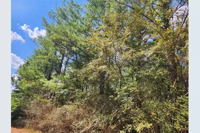 29044 Red Fox Drive, Hempstead, TX 77445 - Photo 27