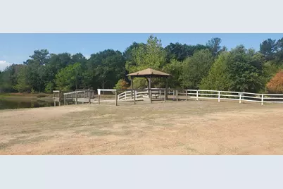 29044 Red Fox Drive, Hempstead, TX 77445 - Photo 11