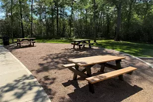 3057 Pampaneria Dr, Conroe, TX 77301 - Photo 37