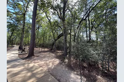 3057 Pampaneria Drive, Conroe, TX 77301 - Photo 29
