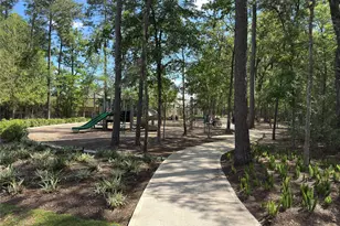 3057 Pampaneria Dr, Conroe, TX 77301 - Photo 33