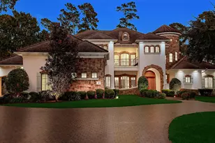 10 Norlund Way, The Woodlands, TX 77382 - Photo 1