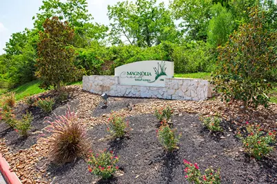 2203 Summit Pass Lane, League City, TX 77573 - Photo 43
