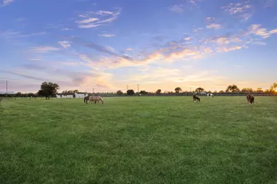40570 Wildlife Run, Hempstead, TX 77445 - Photo 5