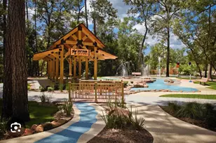 141 Bronze Bow Dr, Montgomery, TX 77316 - Photo 49