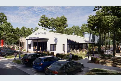 11271 Dance Hall Drive, Montgomery, TX 77316 - Photo 5