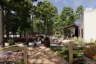 11271 Dance Hall Dr, Montgomery, TX 77316 - Photo 3